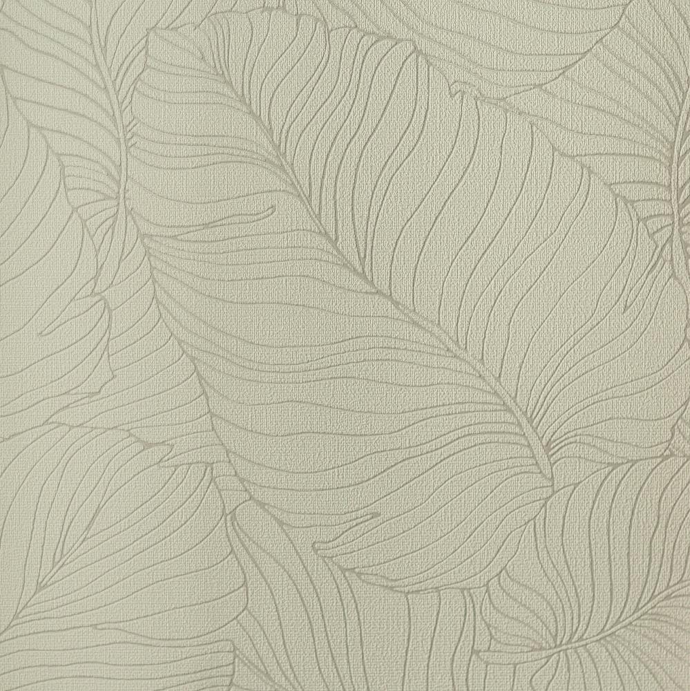 Andrea Rossi Palmaria 54464-5