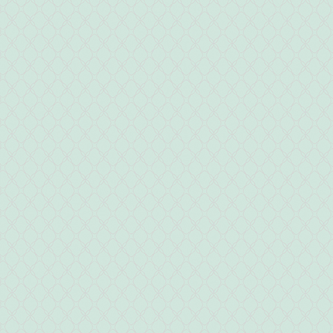 Andrea Rossi Gallinara 54315-5