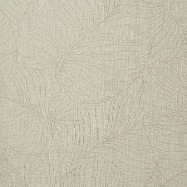 Andrea Rossi Palmaria 54464-1