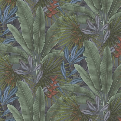 A.S. Creation Della Natura 39676-1