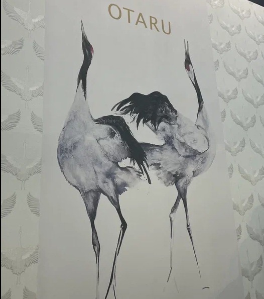 Marburg Otaru 34595 Marburg Otaru 34595