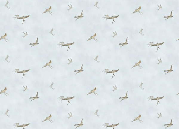 Marburg Essentiell 34789