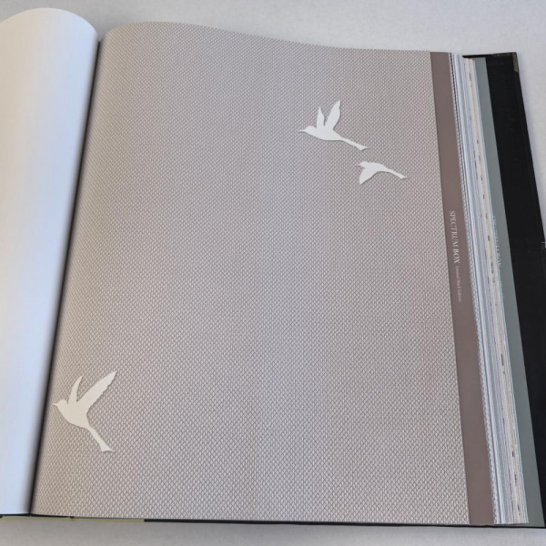 Andrea Rossi Spectrum Box 54458-11