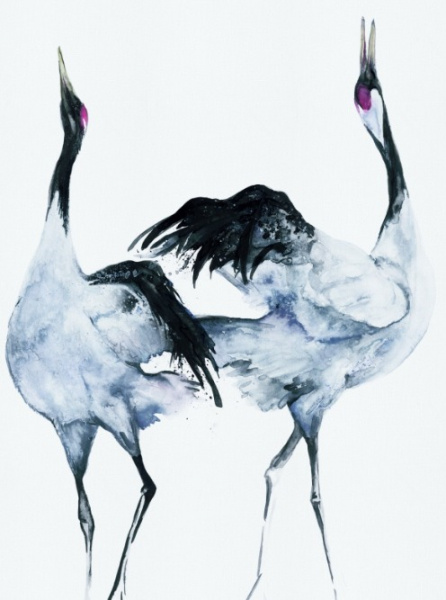 Marburg Otaru 34595 Marburg Otaru 34595