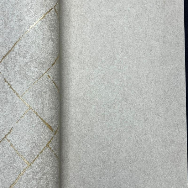 Andrea Rossi Cavolli 54423-2