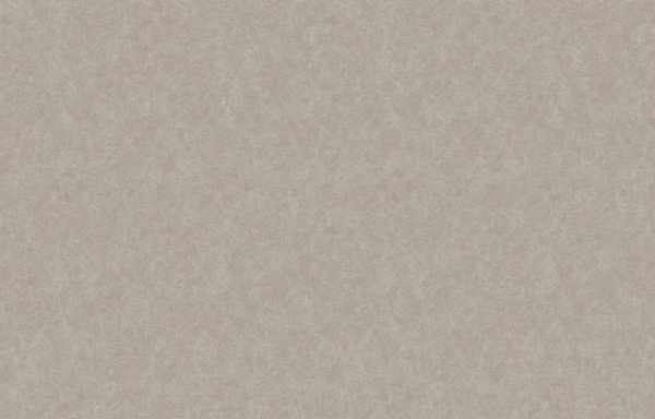 Loymina Shade SDR5 002