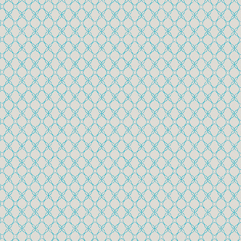 Andrea Rossi Gallinara 54315-3