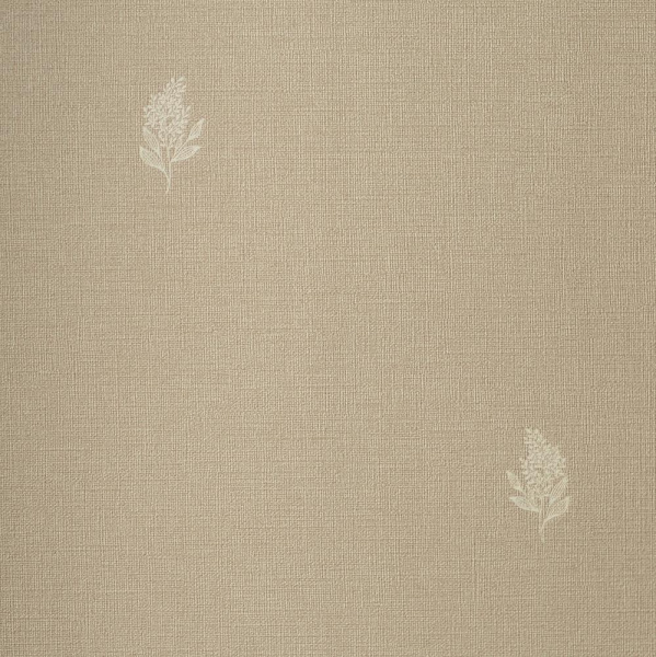 Andrea Rossi Palmaria 54462-7