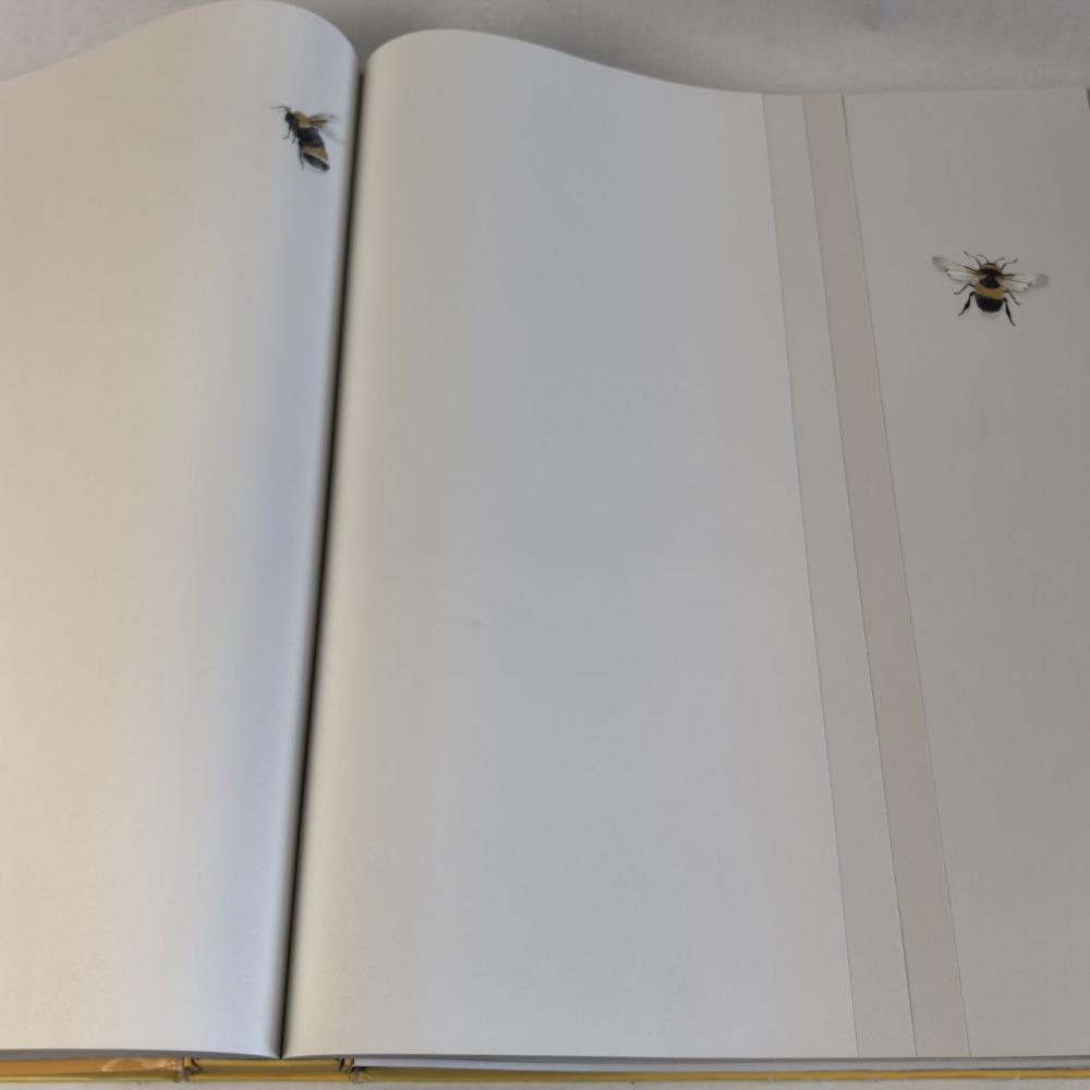 Andrea Rossi Cavolli 54418-1