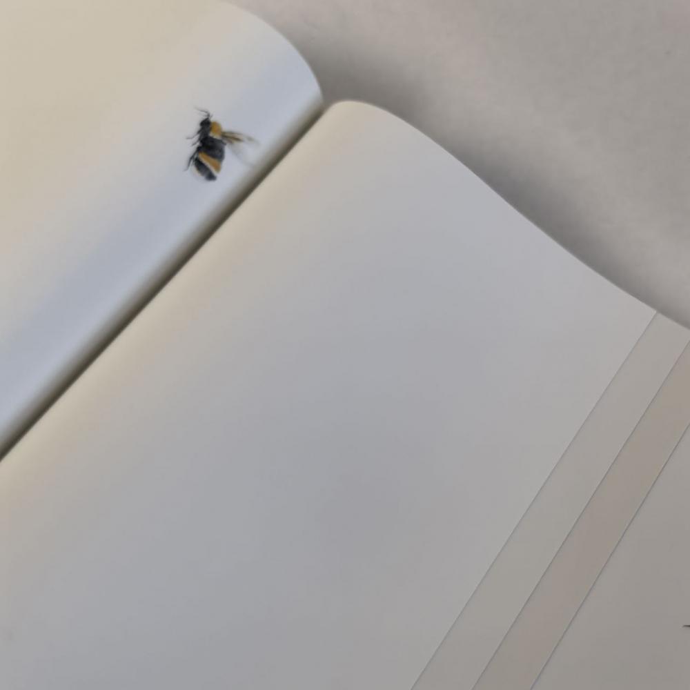 Andrea Rossi Cavolli 54418-1