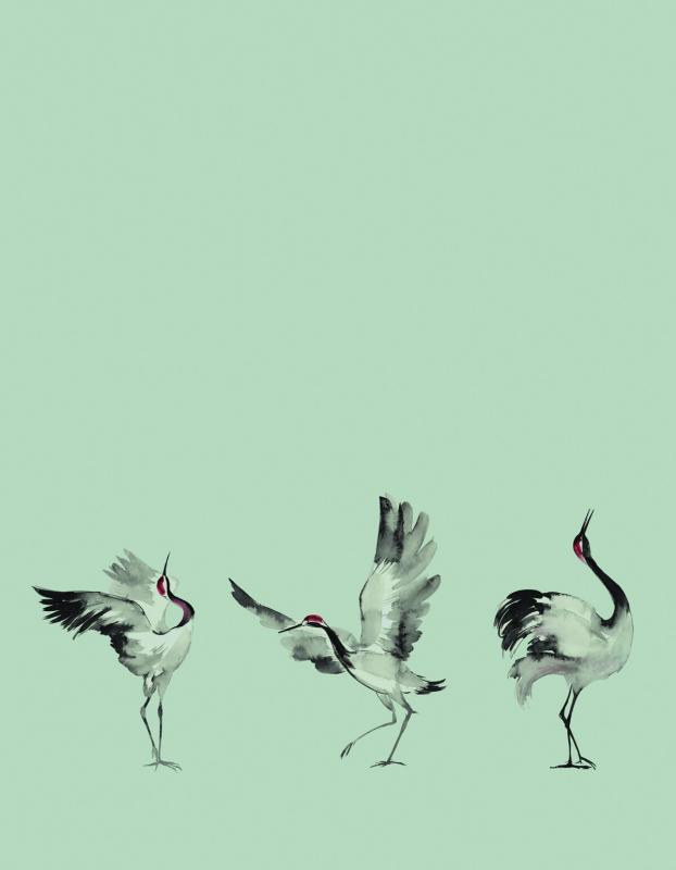 Marburg Crush Motion 63441