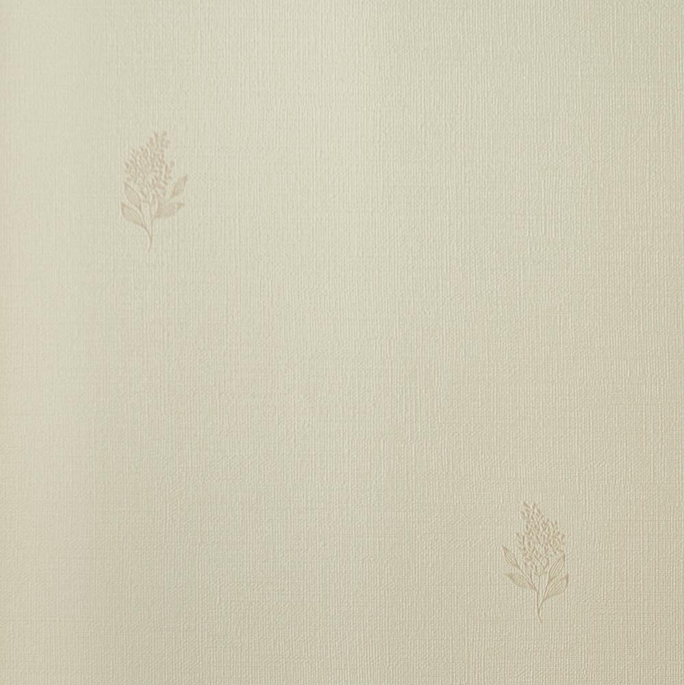 Andrea Rossi Palmaria 54462-4