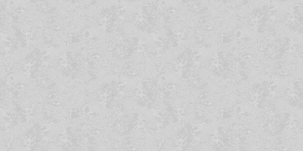 A. Grifoni Palazzo Ragione 7025-5